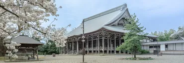 歴史  国宝  雲龍山 勝興寺