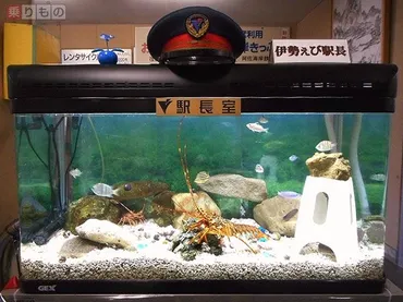 赤字鉄道、伊勢エビ駅長に「脱皮」の願い 初代は脱皮で殉職 