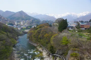 季節のおすすめ 