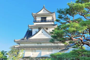 高知城】行く前の予習に 見どころ・歴史・周辺スポットが丸わかり