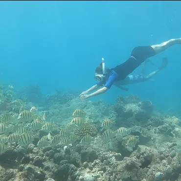 The Rock号での冒険：島々を巡る日帰りクルーズ、何が魅力？The Rock号が提供する、多様なアクティビティとシーフード体験