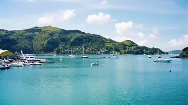 2025年最新版】ニュージーランド：ベイ・オブ・アイランズ観光 必見ガイド！パイヒアのおすすめ旅行スポット＆アクティビティ完全解説 