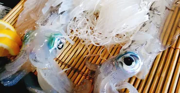 佐賀グルメを堪能！海の幸、山の幸、温泉、B級グルメまで網羅！佐賀の食の魅力とは？佐賀県民もおすすめ！地元ライターが教える絶品佐賀グルメ