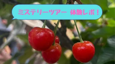 ミステリーツアー】さくらんぼ狩り日帰りバス旅！ネタバレ注意？！ 