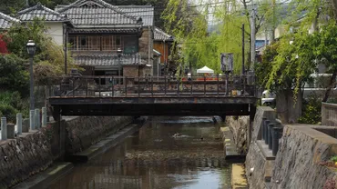 しろいるか旅行記