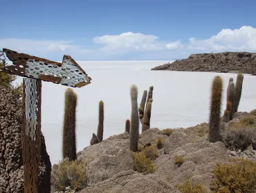 雨季のウユニ塩湖ツアー メリット・デメリット 