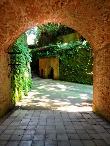天空の城ラピュタ？東京湾に浮かぶ無人島「猿島」の魅力とは？横須賀の絶景！歴史と自然を満喫できる猿島の秘密
