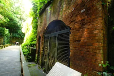 まるでラピュタの世界！東京湾唯一の無人島「猿島」でぐるり島探検 