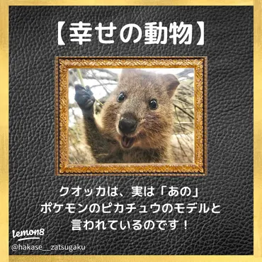 世界一幸せな動物！クオッカの生態と魅力