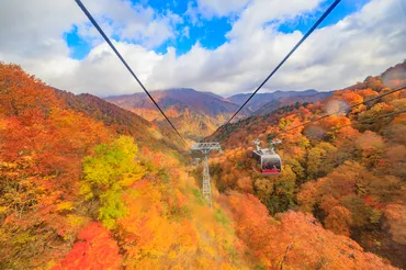 群馬の紅葉を満喫！おすすめスポットと温泉旅の魅力とは？群馬県 紅葉と温泉 おすすめ旅