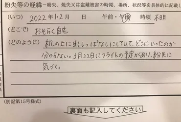 パスポートの紛失と再発行に関する考察 