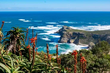 ケープ植物区保護地域群 