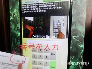 シンガポール夜の動物園攻略法】ナイトサファリは時間指定チケットを買う！ 