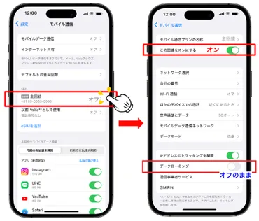 ご帰国後の設定（iOS） :