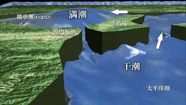 鳴門の渦潮が見頃になるのは何時頃ですか？干潮と満潮どちらが迫力がありますか？ 