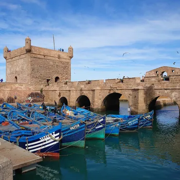 モロッコの港町エッサウィラで魚介類食べてハマムに行ってを永遠繰り返す男 