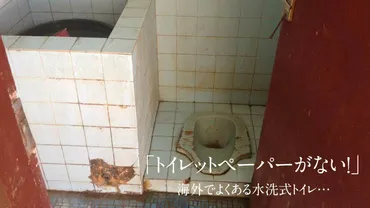 トイレットペーパーがない！」海外でよくある水洗式トイレ…