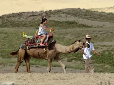 西日本 ジグザグ海の旅② 鳥取砂丘編 (日本海、砂の美術館、馬の背) 』鳥取市(鳥取県)の旅行記・ブログ by 世界攻略者さん【フォートラベル】