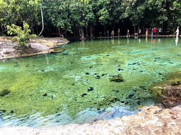 クラビおすすめ観光スポット】エメラルドプール