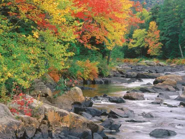 カナダ紅葉の魅力：メープル街道 おすすめ観光スポットと旅のヒント？カナダ紅葉旅行ガイド： メープル街道、ナイアガラの滝、ケベックシティ