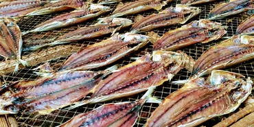 伊豆大島「くさや」の魅力とは？ - 伝統と革新、未来への挑戦？伊豆諸島が生んだ発酵食品「くさや」の歴史と未来