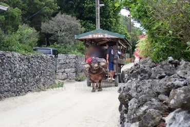 水牛車でめぐる竹富島町並み保存地区と西桟橋、コンドイ浜、カイジ浜 