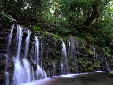 箱根湯本】穏やかな自然に身を任せて心も体も清らかに！千条の滝 