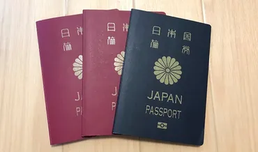 パスポートを紛失したらどうする？対処法と新規発行までの手順を徹底解説