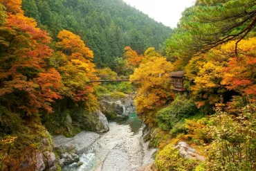 東京都西多摩郡「鳩ノ巣渓谷」の紅葉とダイナミックな巨石・奇岩の光景！動画でみる奥多摩観光、紅葉スポットも紹介 