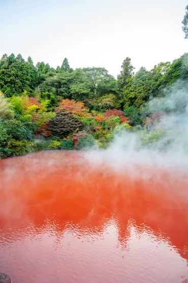 別府地獄めぐり(血の池地獄)