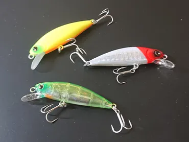 マイクロベイト、ハクパターンにマジ強い!ロンジン ミズキ(MIZUKI) for Saltwater のインプレッション!