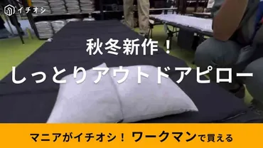 ワークマン】2023秋冬新作「しっとりアウトドアピロー」は寝心地にこだわりアリ!極上の肌ざわりで快眠◎