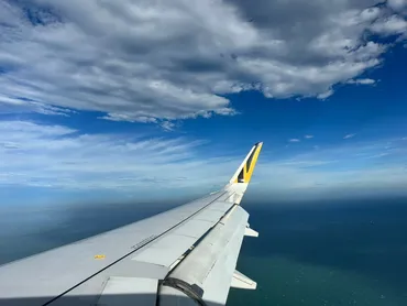 タイガーエア台湾ってどんな航空会社？格安航空券利用の注意点とは？LCCタイガーエア台湾を徹底解説！料金、手荷物、チェックインの流れ