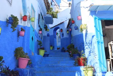 モロッコ旅行ガイド！魅力、文化、おすすめ情報とは？モロッコの魅力を徹底解剖！多様な文化と旅のヒント