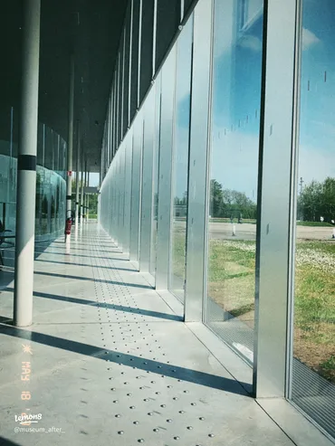 ルーヴル美術館分館の魅力：日本人建築家のデザインと地方文化再生