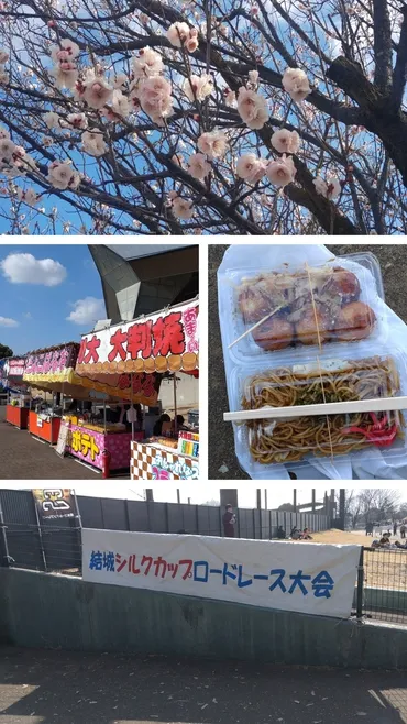 結城市のイベント情報：春から冬まで楽しめる！結城紬、桜、夏祭り、ひなまつりなど、結城の魅力を徹底解説！結城市のイベントカレンダー：桜めぐり、夏祭り、きものday、ひなまつり…結城の魅力を凝縮！