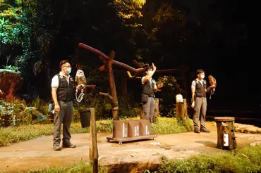 シンガポール ナイトサファリの人気ショーを夜の熱帯雨林で楽しむ 