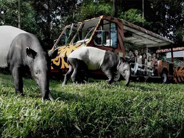 日本語ガイド＋日本語音声トラム乗車＋送迎 