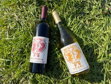 兎ッ兎ワイナリー】鳥取の農園でぶどう栽培された本格的ワインが楽しめる！兎のラベルが可愛いワイナリー 