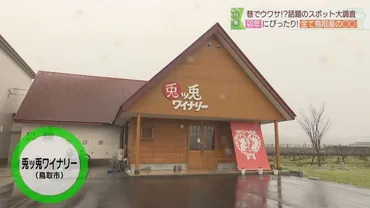 兎ッ兎ワイナリー】可愛いうさぎラベルも注目！ブドウ栽培から醸造まで行う鳥取市唯一のワイナリー 