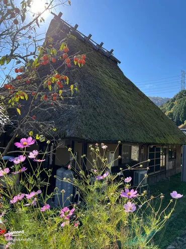 美山かやぶきの里の魅力と観光情報