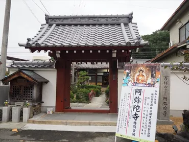 滋賀県高島市 平池のカキツバタ群生地の見どころは？アクセス方法や周辺情報も紹介！カキツバタ咲き誇る絶景スポット、平池への誘い