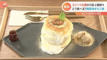 「インジョルミ」って？゛日本初上陸゛の韓国スイーツ 