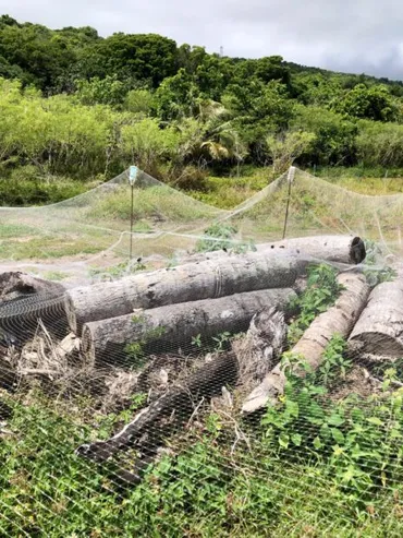 グアムの穴場ビーチ、リティディアンビーチの魅力とは？グアム最北端の楽園、リティディアンビーチへの誘い