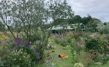 犬島 くらしの植物園』は草花を観賞するための植物園ではない！？その喜びを共有し、「くらし」を作る仕組みとは