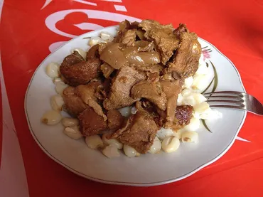 ボリビアインターンシップへの誘い：Projecto YOSIが提供する、自然・文化体験と自己成長の機会とは？ボリビアでのインターンシップ：Projecto YOSIの多様なプログラムと自己成長の可能性