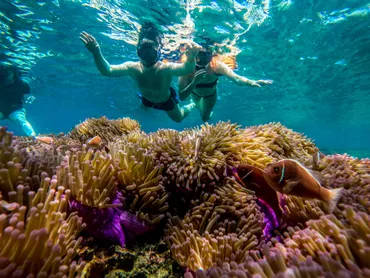 ナンユアン島シュノーケリング日帰りツアー：楽園への旅？タオ島発、ナンユアン島の絶景とシュノーケリング