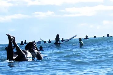 台湾サーフィン旅行は最高？魅力とおすすめポイントを徹底解説！台湾サーフィン、北・東・南部の人気ポイントや注意点を紹介