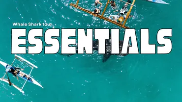 セブ島ジンベイザメツアーの持ち物完全ガイド