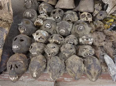 呪物市場の本命 ロメのアコデセワ Akodessewa Fetish Market : kimcafe トラベリング